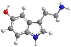 Química Orgánica